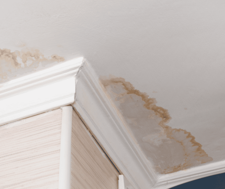 homeowners_-_water_detection_and_awareness_optimized