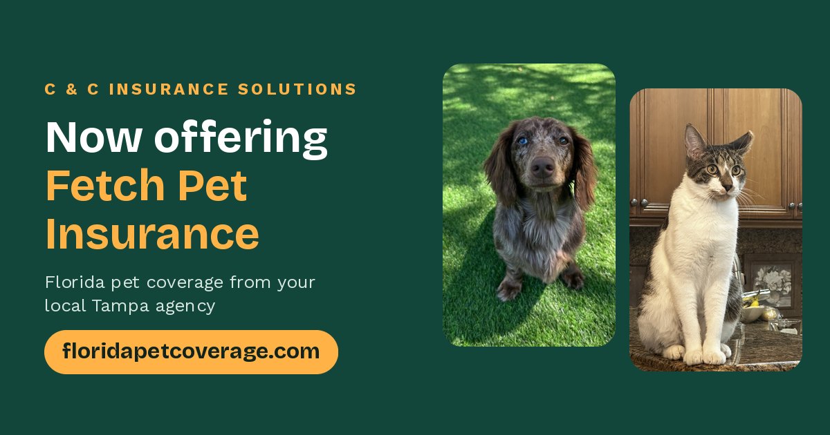 Florida pet insurance from C & C Insurance Solutions: a dachshund and Scout the cat beside a Fetch Pet Insurance announcement